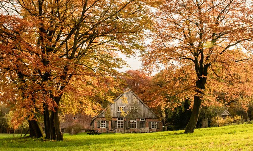 Oerboerderij-De-Lutte